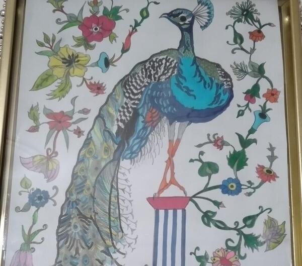 عکس نقاشی رنگی طاووس