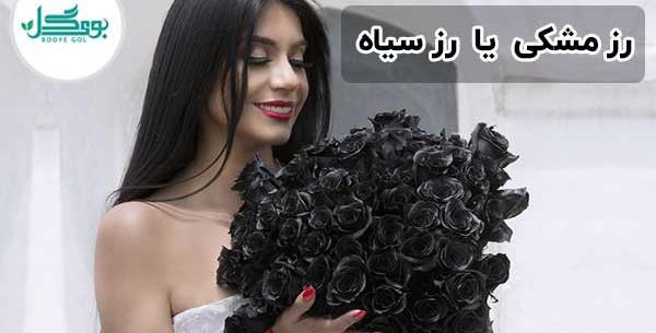 عکس زیبا از گل رز مشکی
