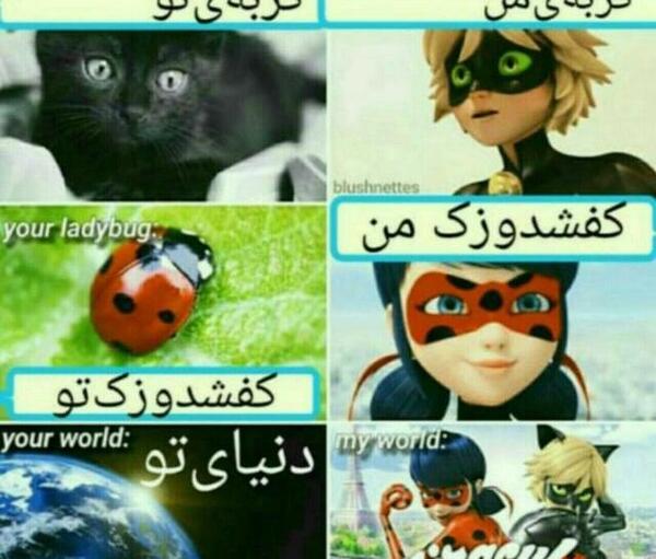 عکس های طنز میراکلس تستچی