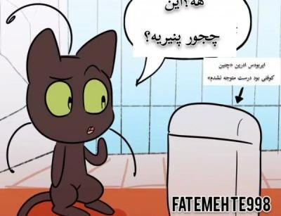 عکس های طنز میراکلس تستچی