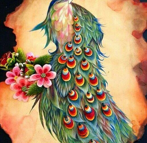 عکس طاووس برای نقاشی کودکان
