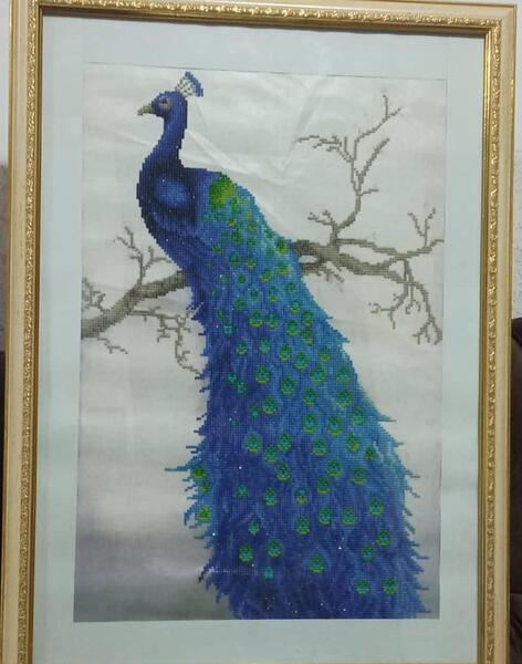 عکس طاووس نقاشی کودکانه