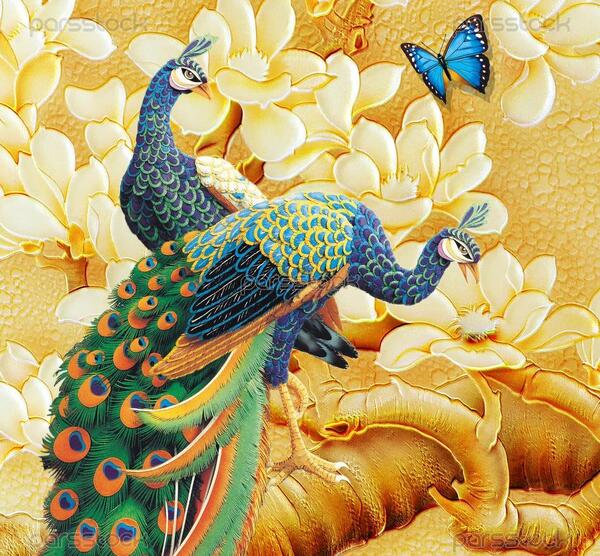 عکس نقاشی طاووس رنگ شده