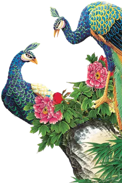 عکس نقاشی طاووس رنگ شده