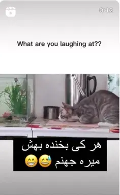 عکس های طنز ویسگون