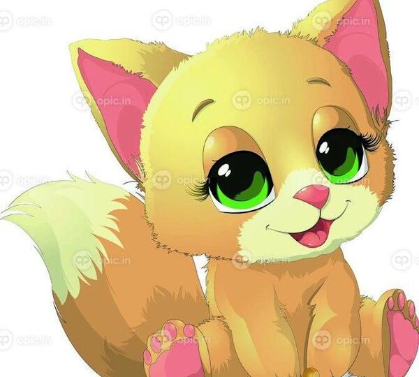 عکس گربه زیبا برای نقاشی