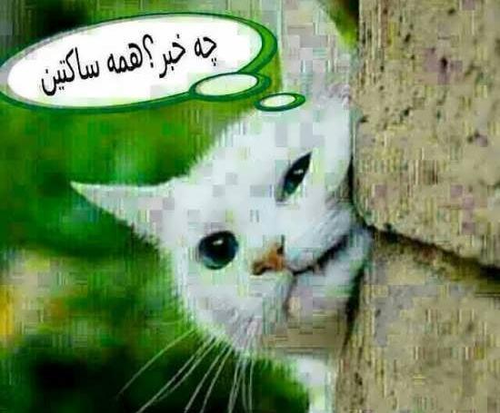 عکس طنز گروه دخترانه