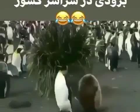 عکس نوشته طنز کنکوری