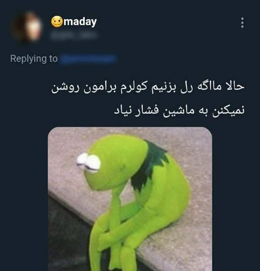 عکس طنز از قورباغه