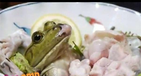عکس طنز از قورباغه