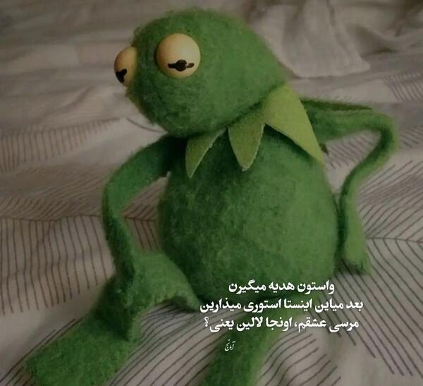 عکس طنز از قورباغه
