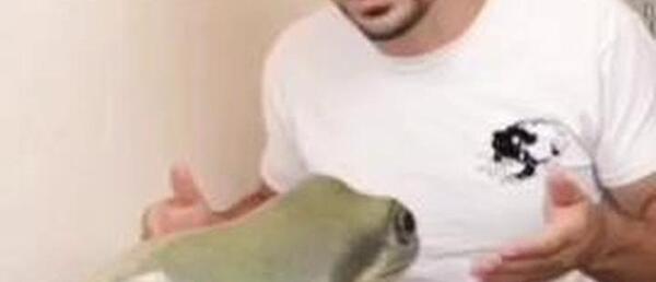عکس طنز از قورباغه