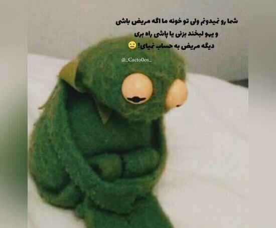 عکس طنز از قورباغه