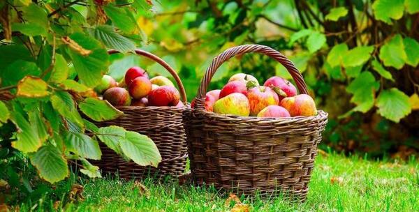 عکس های منظره زیبا برای پروفایل