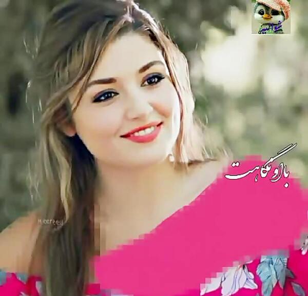 زیبا ترین عکس هانده ارچل