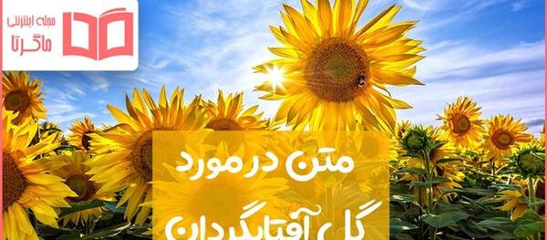 عکس گل زیبا همراه با متن