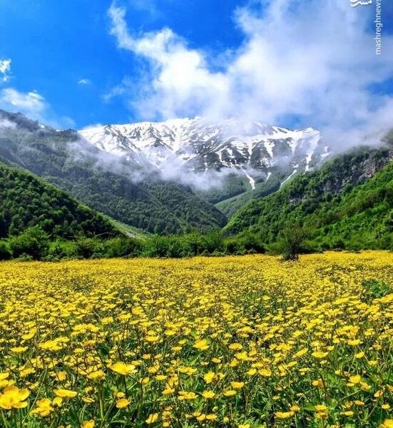 زیباترین عکس طبیعت بهاری