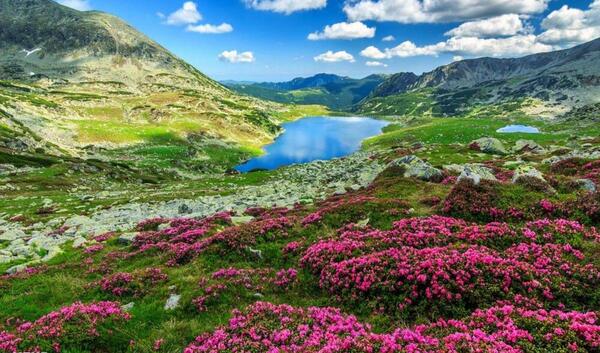 عکس تصاویر از طبیعت زیبای جهان