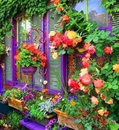 عکس زیباترین طبیعت های جهان