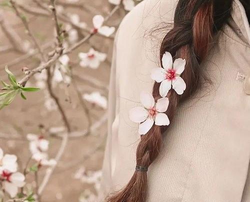 عکس پروفایل زیبای بهار