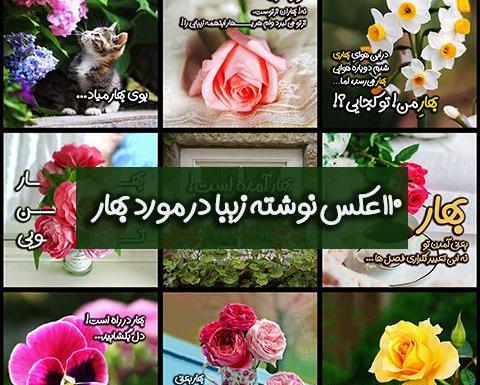 عکس پروفایل زیبای بهار