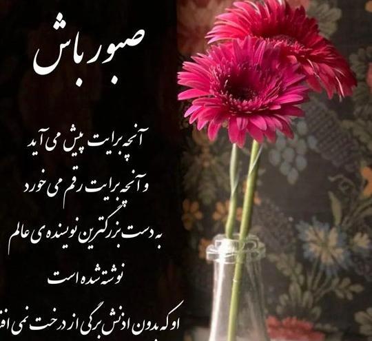 زیباترین عکس دنیا برای پروفایل