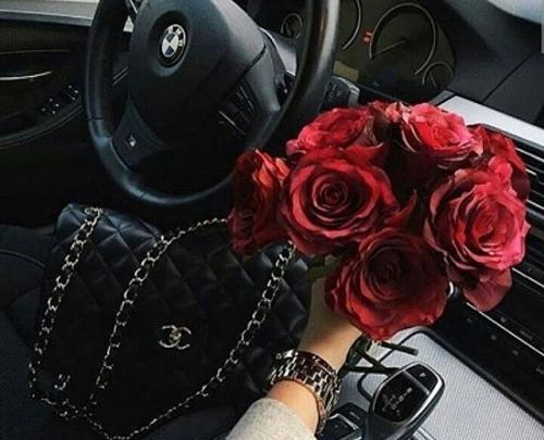 عکسهای پروفایل زیبا برای تلگرام