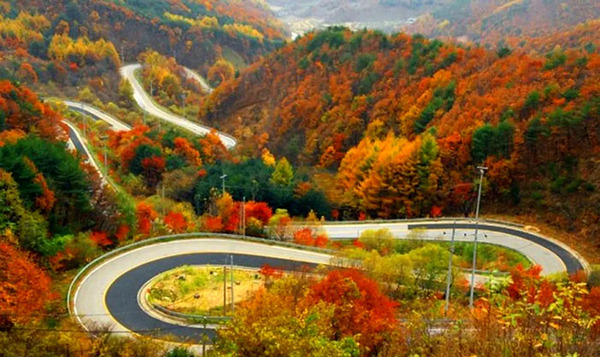 عکس رویایی از طبیعت