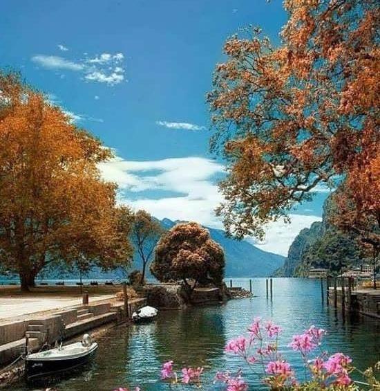 عکس زیبا برای پروفایل روبیکا گل