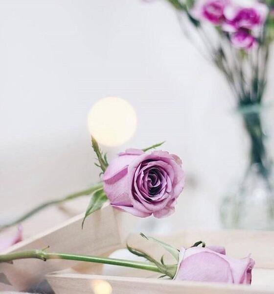 عکس زیبا برای پروفایل روبیکا گل