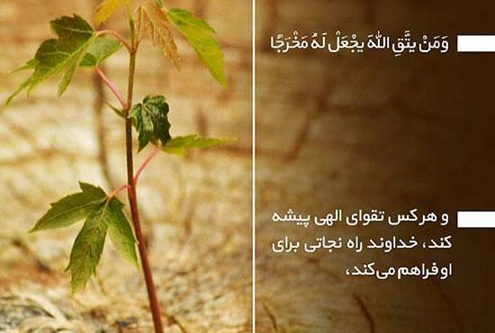 عکس پروفایل عرفانی زیبا