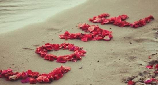 عکس پروفایل قلب وگل زیبا