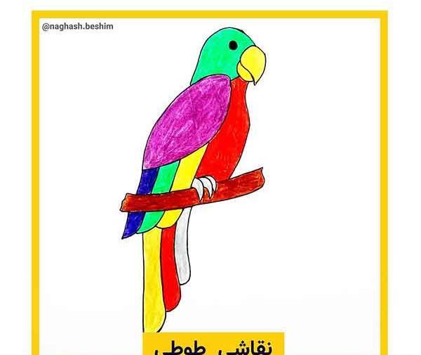 عکس نقاشی طوطی آسان
