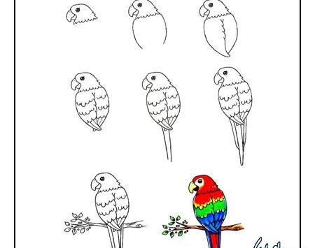 عکس نقاشی طوطی آسان