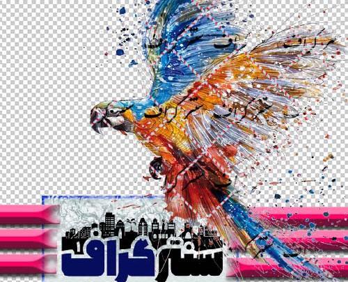 عکس نقاشی طوطی سخت