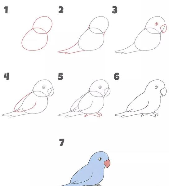 عکس نقاشی طوطی آسون