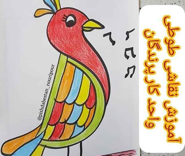 عکس نقاشی طوطی آسون