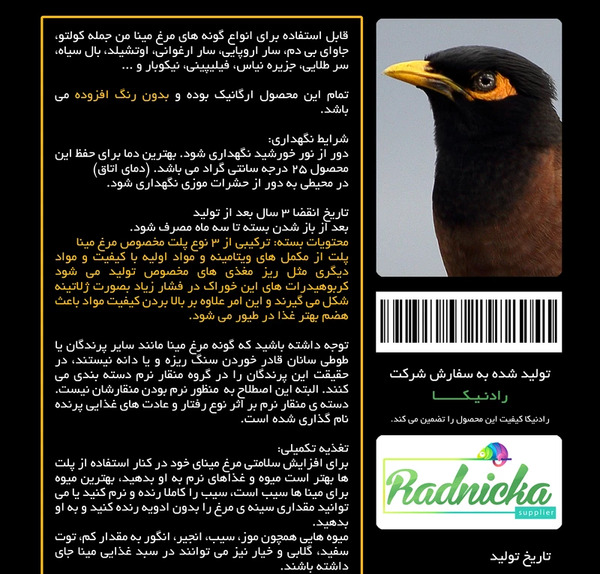 عکس طوطی مرغ مینا