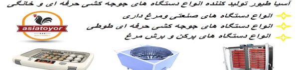 عکس تخم طوطی ماکائو