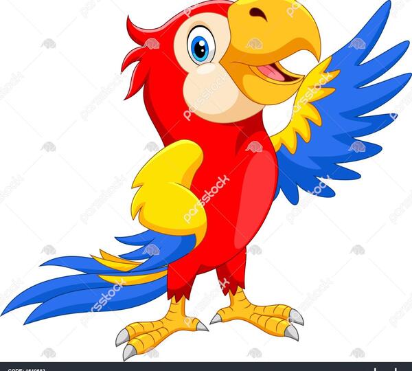 دانلود عکس کارتونی طوطی