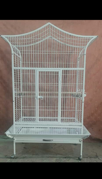 عکس قفس طوطی بزرگ