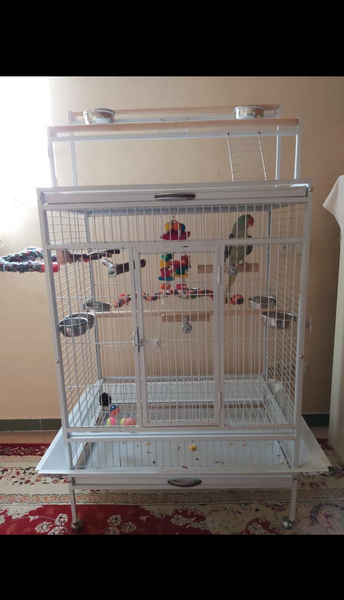 عکس قفس طوطی بزرگ