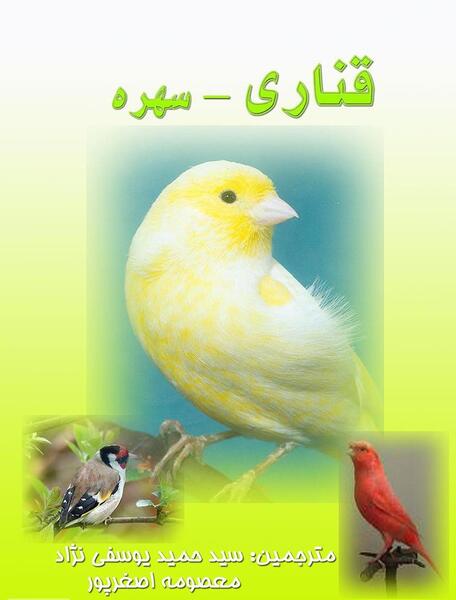 عکس طوطی و قناری