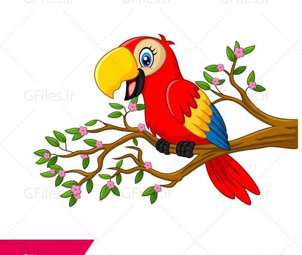 عکس طوطی های قرمز