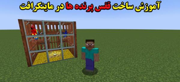 عکس غذای طوطی در ماین کرافت