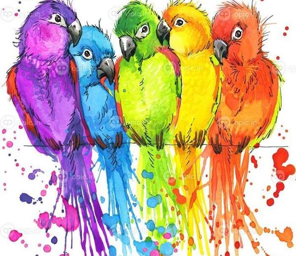 عکس های فانتزی طوطی