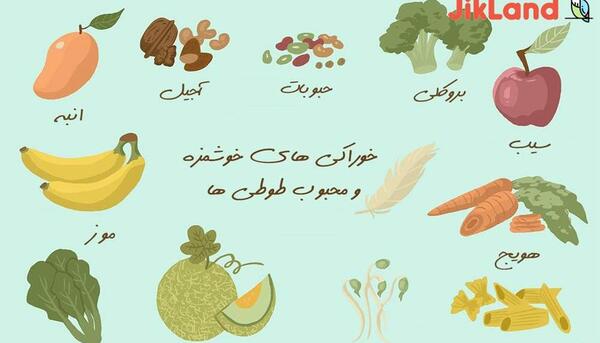 عکس غذا خوردن طوطی
