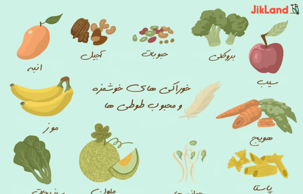 عکس غذای طوطی ها