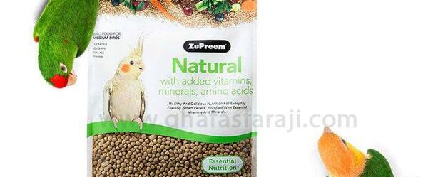 عکس غذای طوطی ها