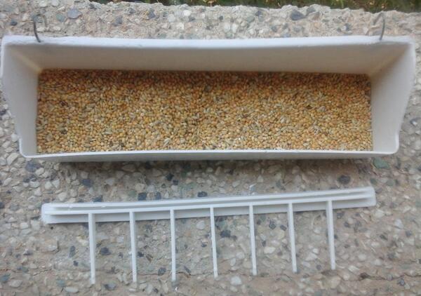عکس ظرف غذای طوطی
